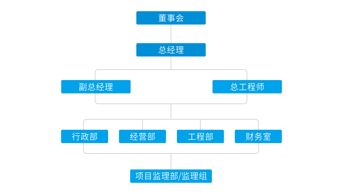 四川國際工程監(jiān)理有限公司組織架構(gòu)